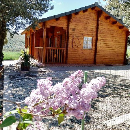 Olocau del ReyLa Casa Del Estanque别墅 外观 照片