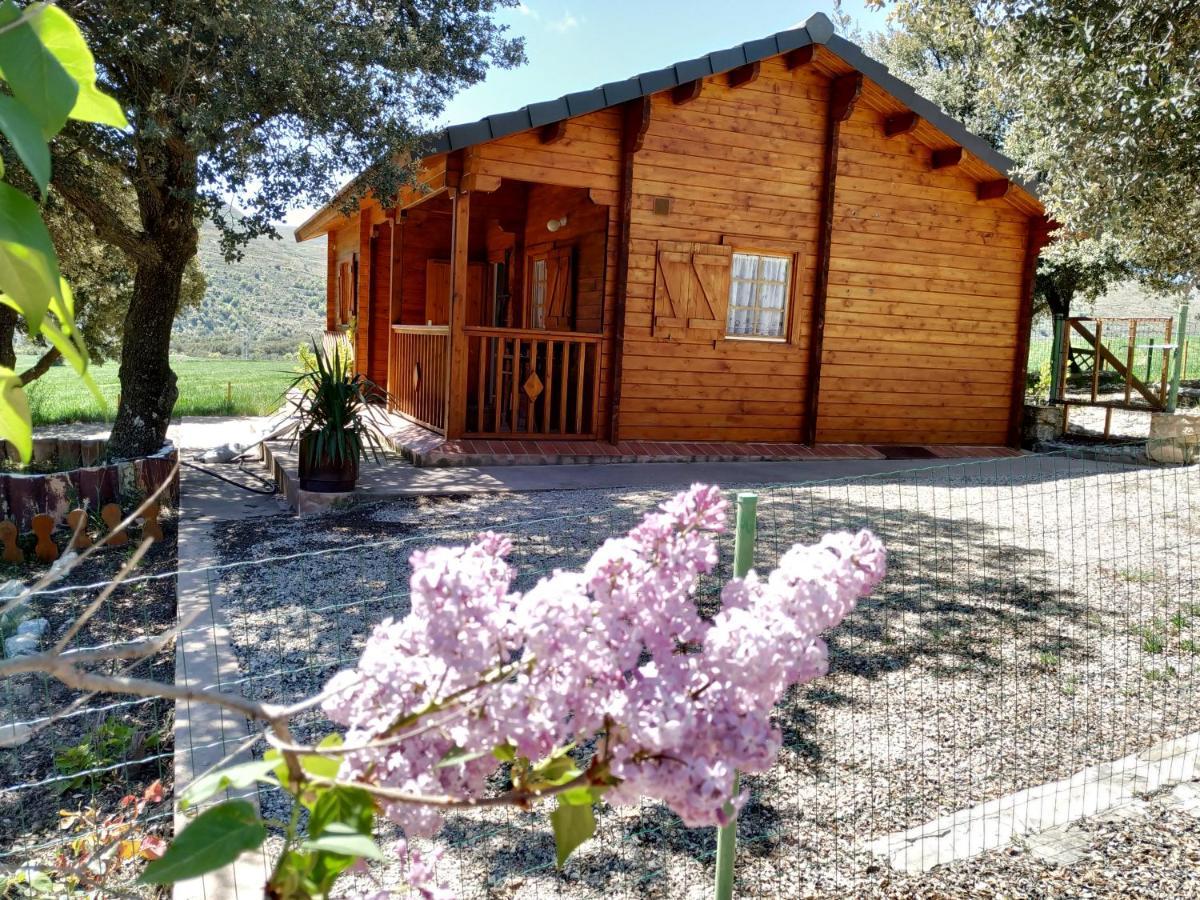 Olocau del ReyLa Casa Del Estanque别墅 外观 照片