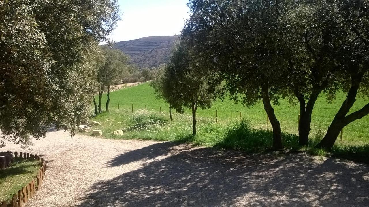 Olocau del ReyLa Casa Del Estanque别墅 外观 照片